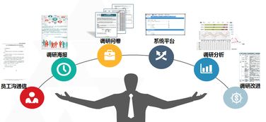 中智管理咨询 以市场调查服务驱动商业决策与创新